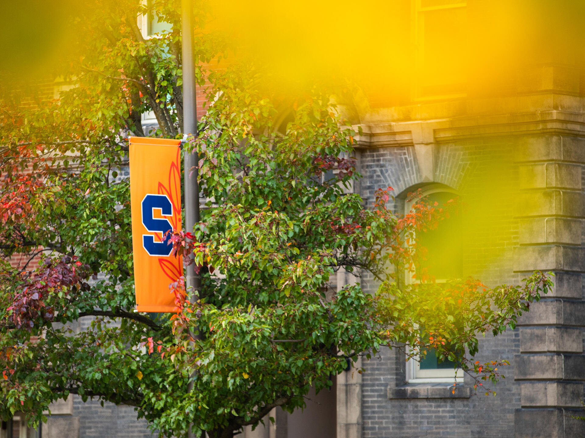 Hero image for Syracuse University project, featuring a Block S pole banner framed by foliage.
