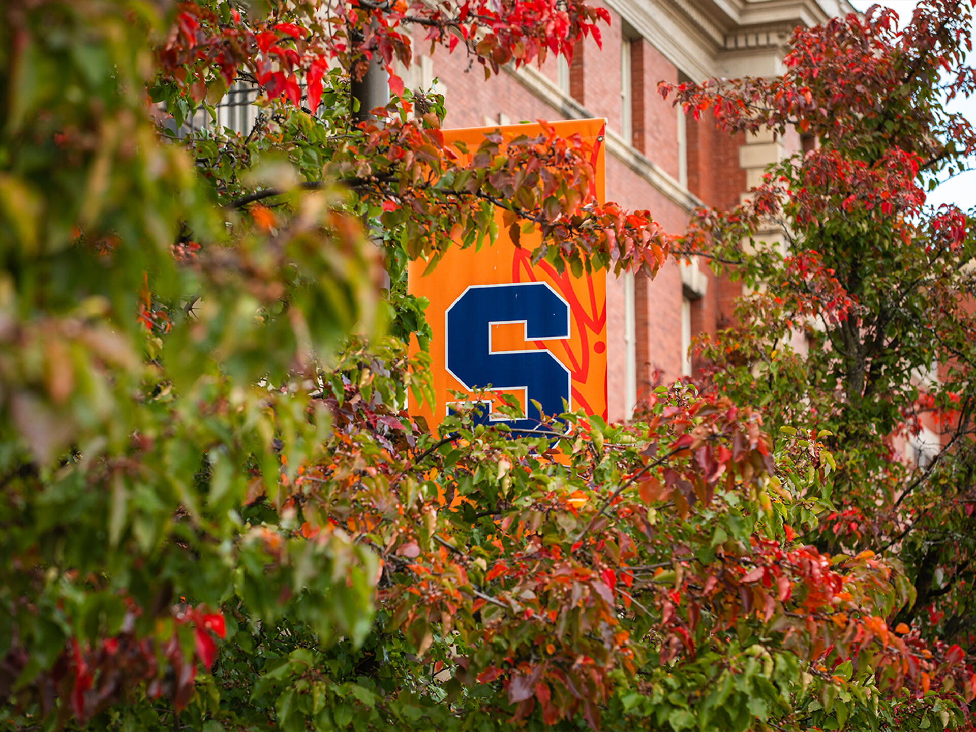 Hero image for Syracuse University project, featuring a Block S pole banner framed by foliage.